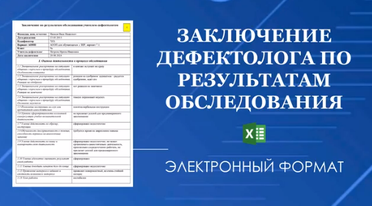 [Татьяна Тверитинова] Конструктор заключения дефектолога (школа, детский сад) (2025)