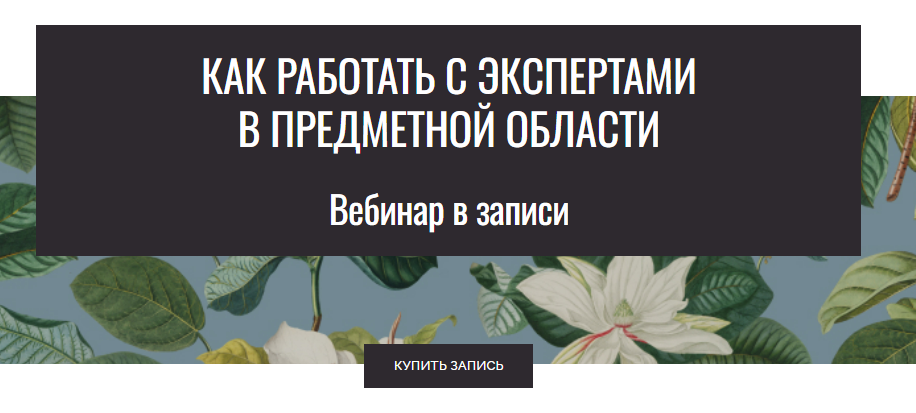 [Елена Тихомирова] Как работать с экспертами предметной области (2025)